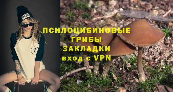 прущие крисы Касимов