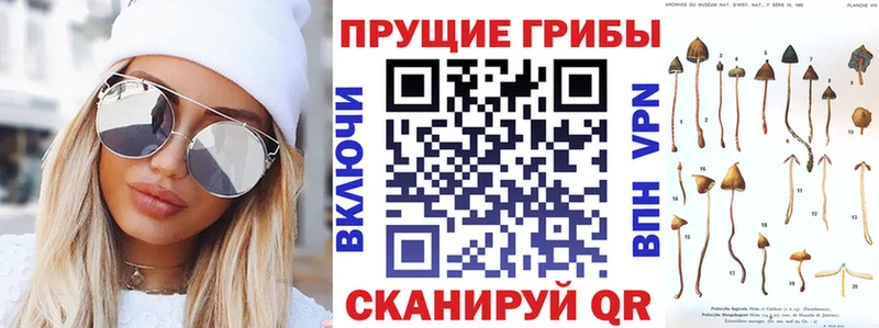 Галлюциногенные грибы Cubensis  Купить  Бахчисарай 